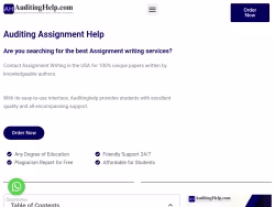 Auditinghelp