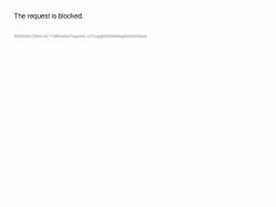 Feedbackportal