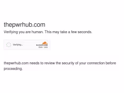 Thepwrhub