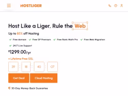 Hostliger