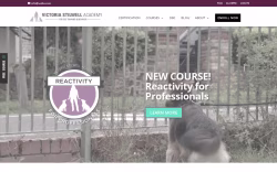 VS Dog Training Academy