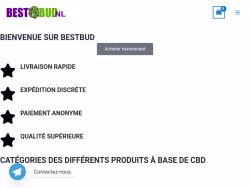 Bestbudnl