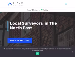 Sjonessurveying
