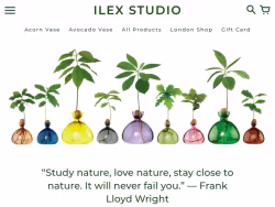 Ilexstudio