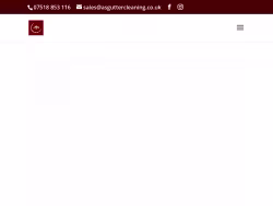 Asguttercleaning