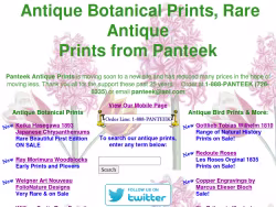 Panteek
