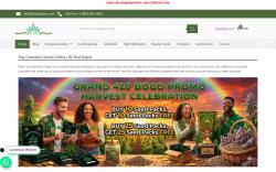 Bcbuddepot