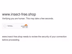 Insect-free