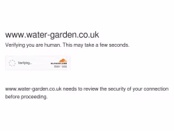 Water-garden