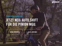 Pinion
