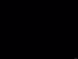 Lokirich