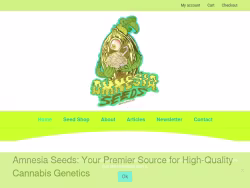 Amnesiaseeds
