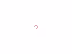 Internetincomesystem