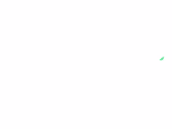 Beanstalkconsulting