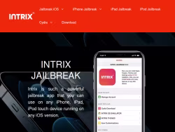 Intrixjb