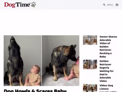 Dogtime