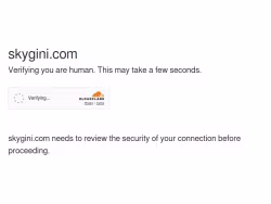 Skygini
