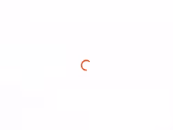 Orbit