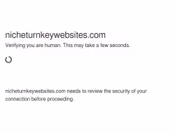 Nicheturnkeywebsites