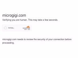 Microgigi