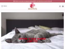 Chiennourriture