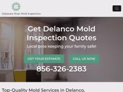 Moldinspectiondelanco
