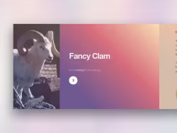 Fancyclam