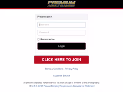Premium-adult-games