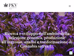 Pkvcannabislab