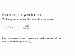 Theemergencycenter