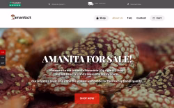 AMANITA.LT