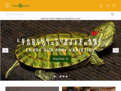 Theturtlesource