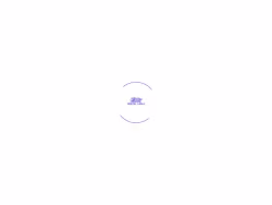 Digitalladle