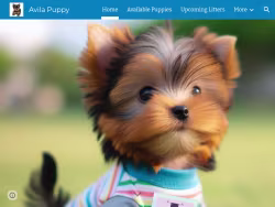 Avilapuppy