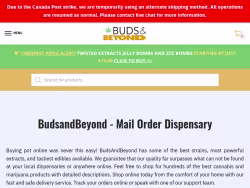 Budsandbeyond
