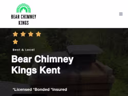 Bearchimneykings