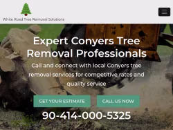 Treeremoval-conyers