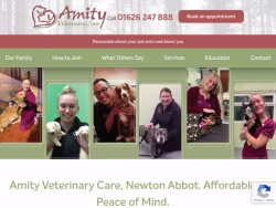 Amityvets
