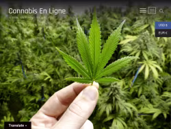 Cannabisenligne
