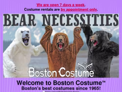 Bostoncostume