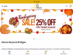 Beyondbridgesusa