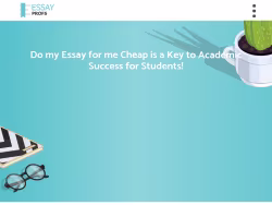 Essayprofs