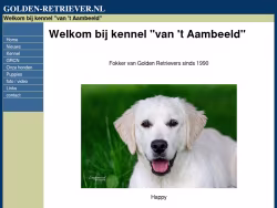 Golden-retriever