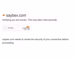 Saybex