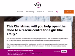 Vsointernational