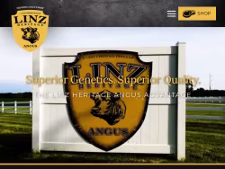 Linzheritageangus