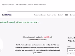100ipservice