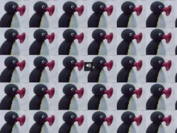 Nootnoot