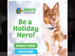 Larimerhumane