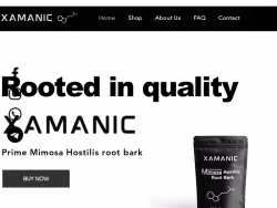 Xamanic